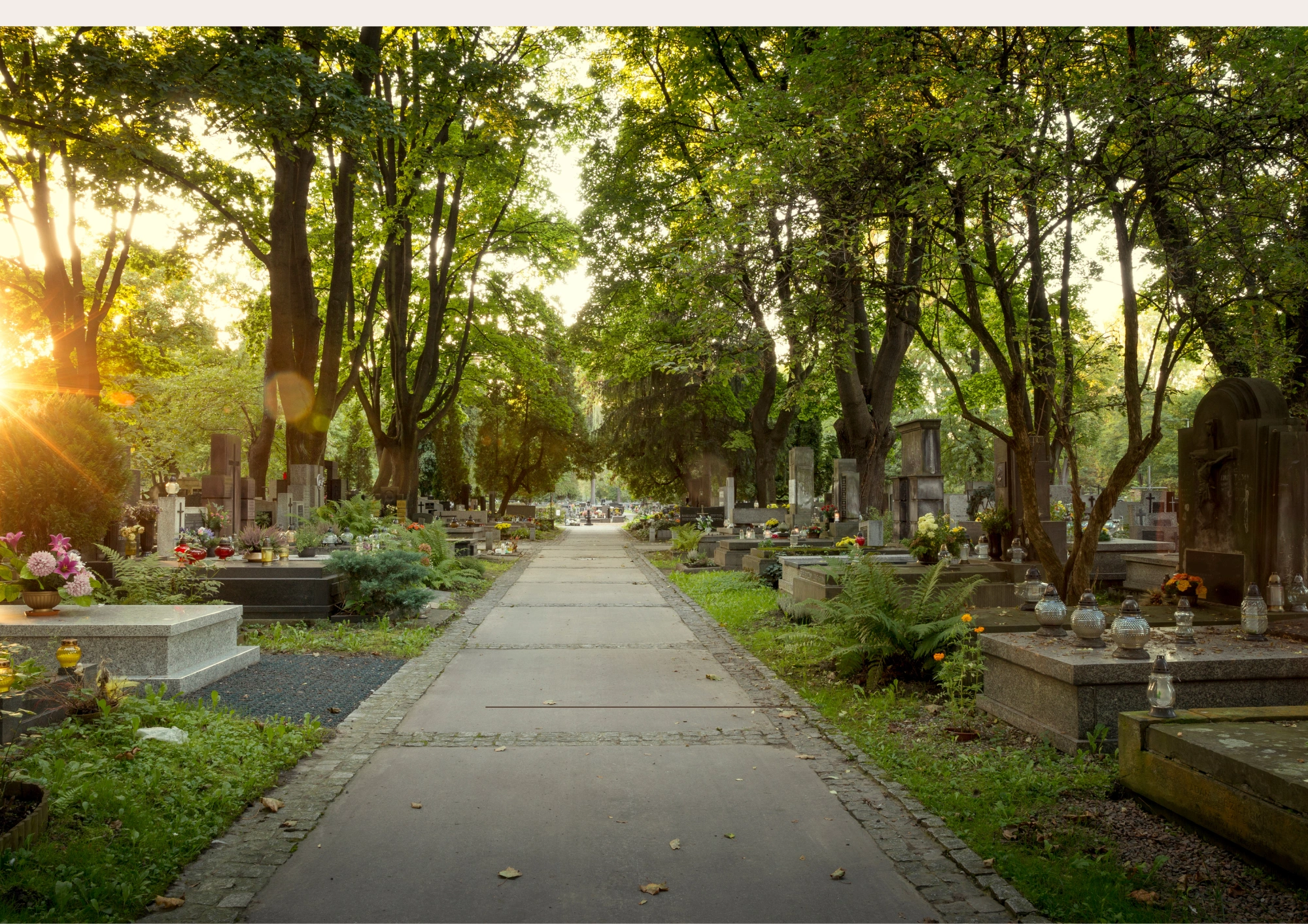 Stille, gepflegte Rasenfläche auf einem Friedhof