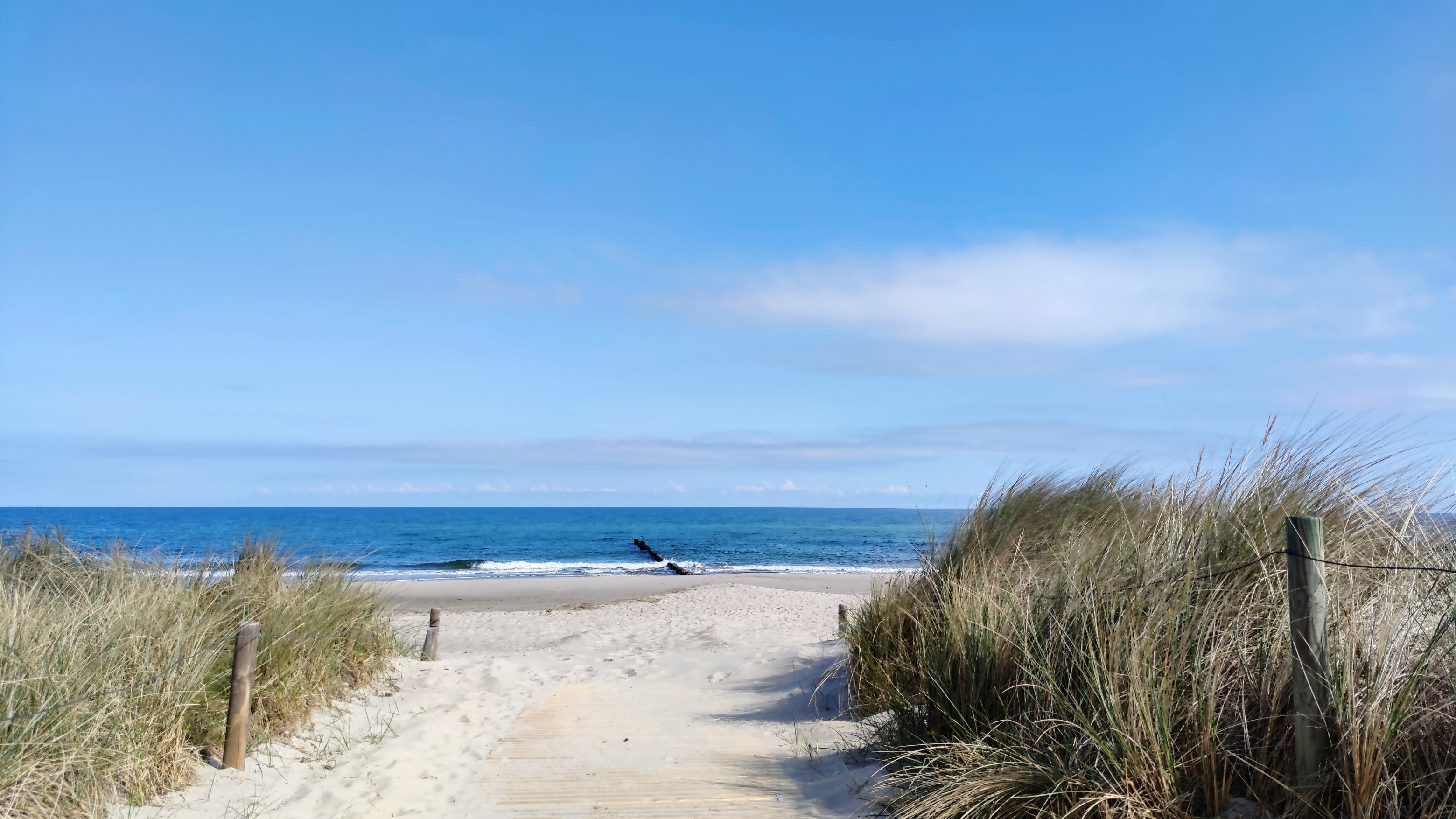 Seebestattung – Beisetzung auf dem offenen Meer